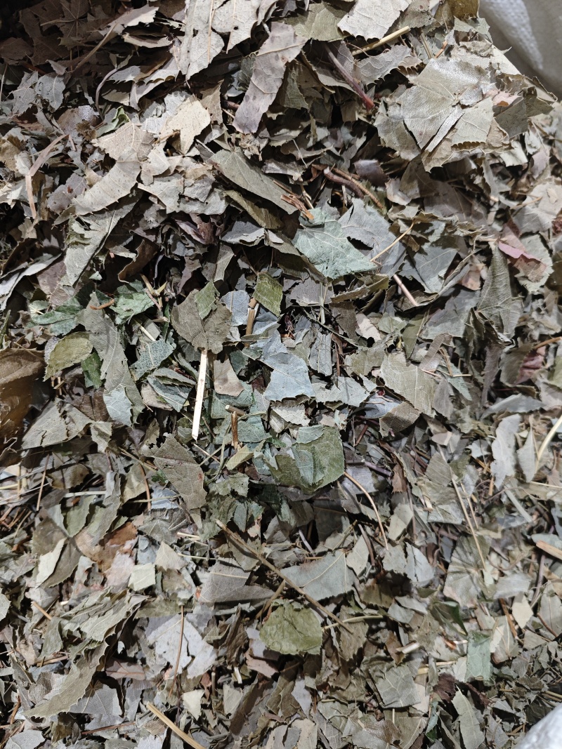 淫羊藿