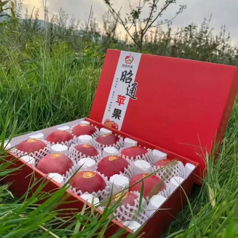 云南201苹果清甜可口价格美丽质量好走货快欢迎询价热卖中