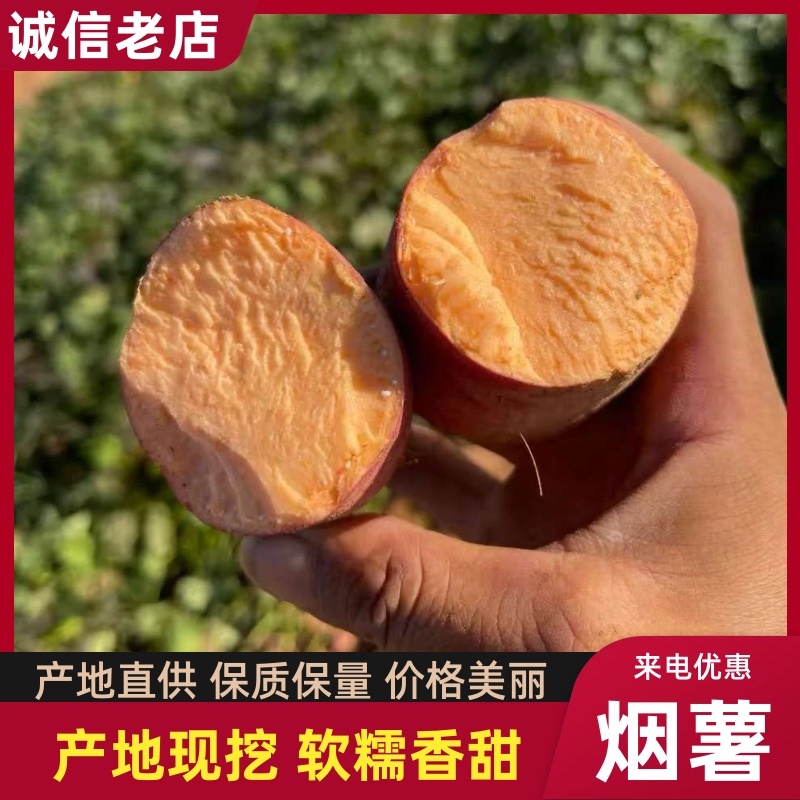 山东日照烟薯香甜软糯糖心流油产地直供