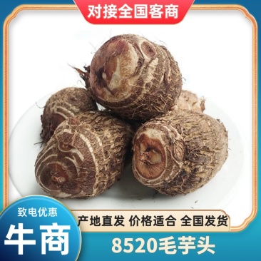 山东日照毛芋头产地直供粉糯香甜量大从优