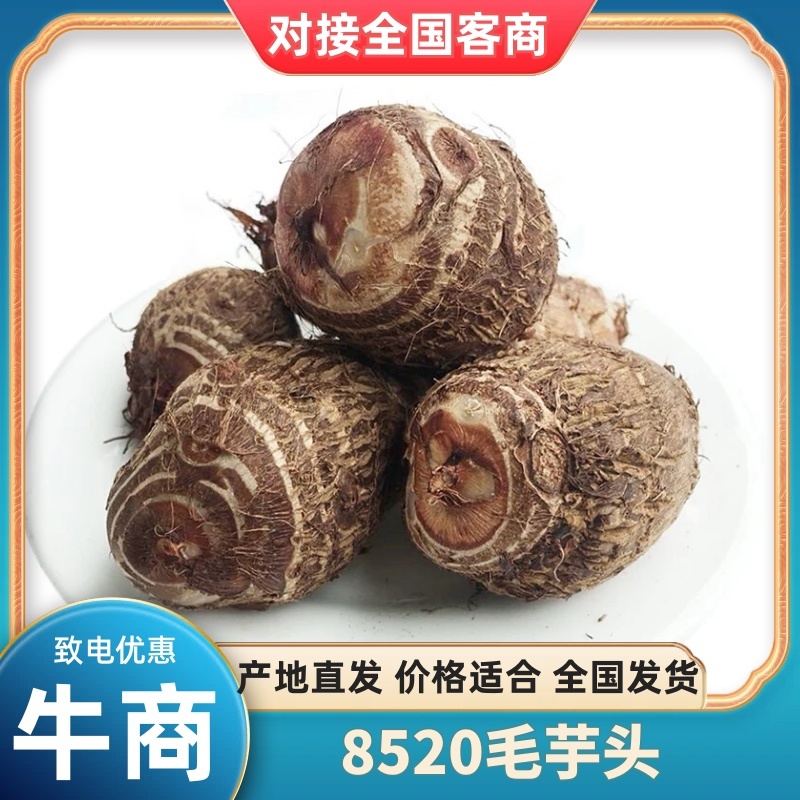 山东日照毛芋头产地直供粉糯香甜量大从优