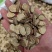 甘草