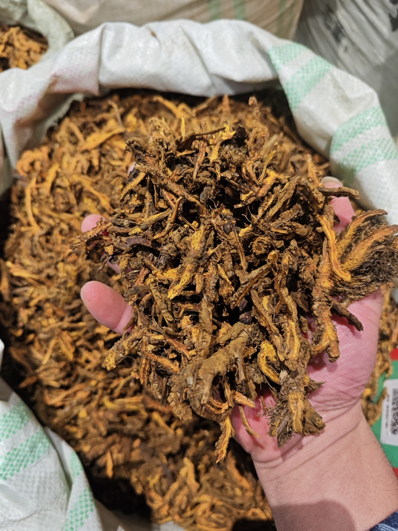 黄连