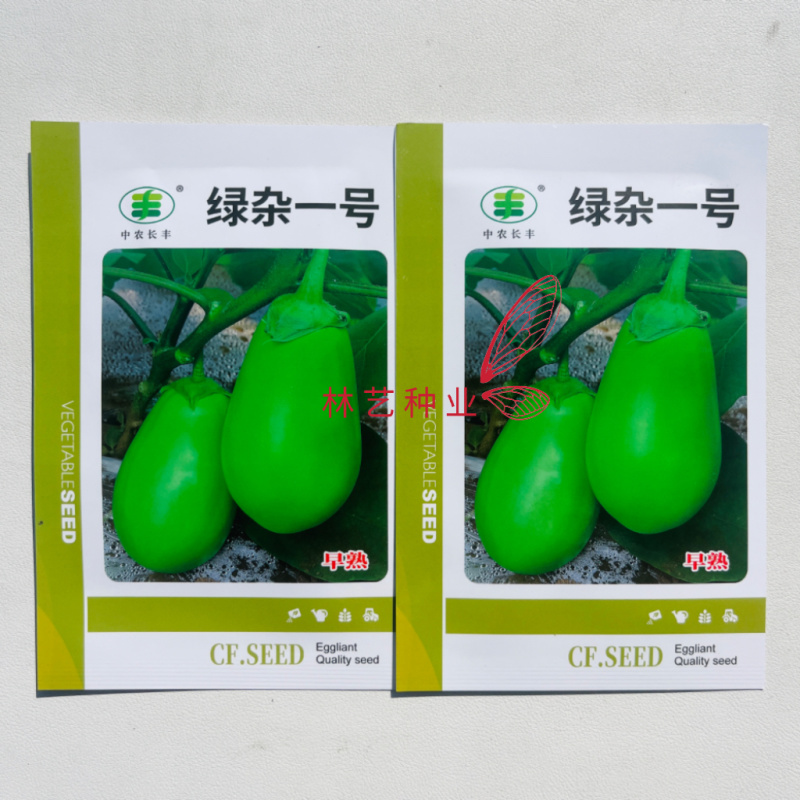 绿杂一号绿罐茄种子早熟杂交绿茄果肉细嫩油亮高产长卵形茄子