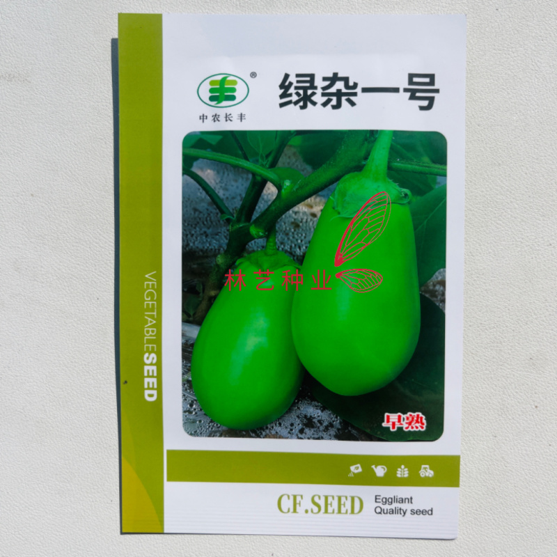 绿杂一号绿罐茄种子早熟杂交绿茄果肉细嫩油亮高产长卵形茄子