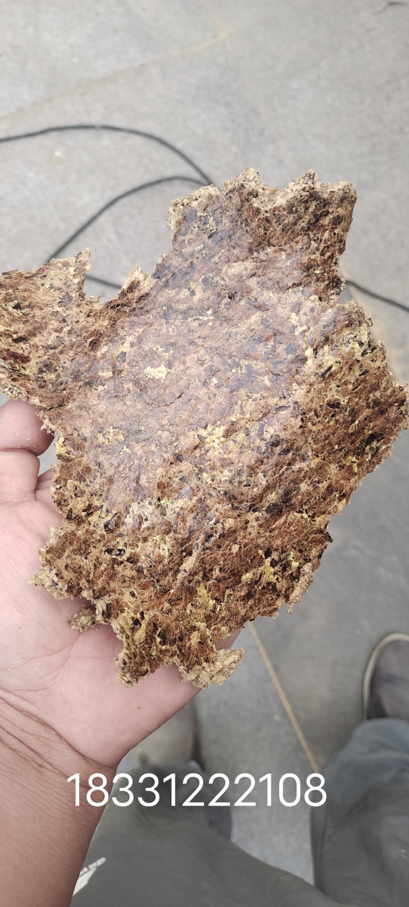 保纯新疆棉籽饼！喂牛羊育肥必备！批发