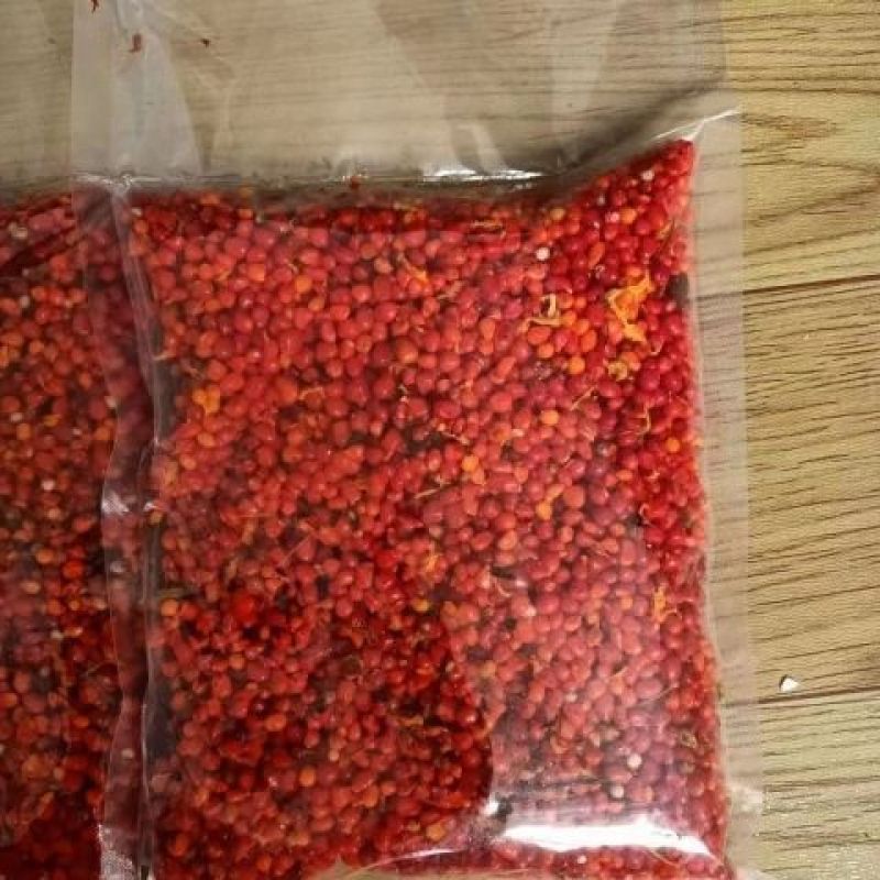 正宗云南重楼种子七月一枝花红白滇重楼种苗血红独角莲矮杆多