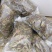 云南紫花三叉白芨种子大白芨种子宽叶白芨果夹提供技术