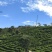 信阳毛尖绿茶