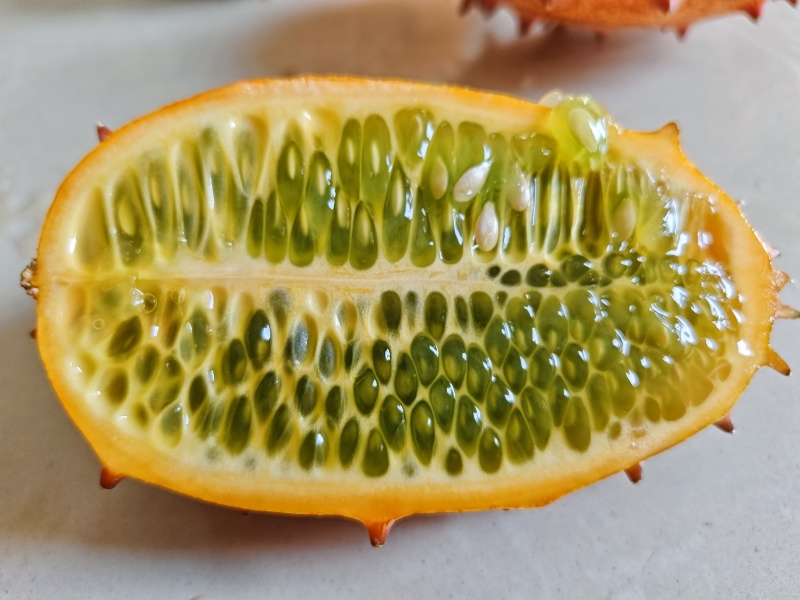火参果火星果批发