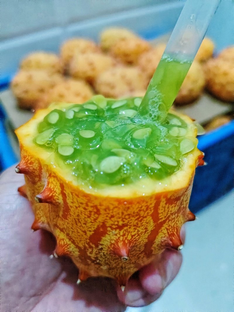 火参果火星果批发