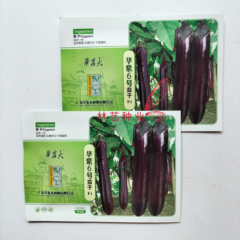 华紫6号紫红长茄种子华南农业大学新育成品种中熟抗病高产
