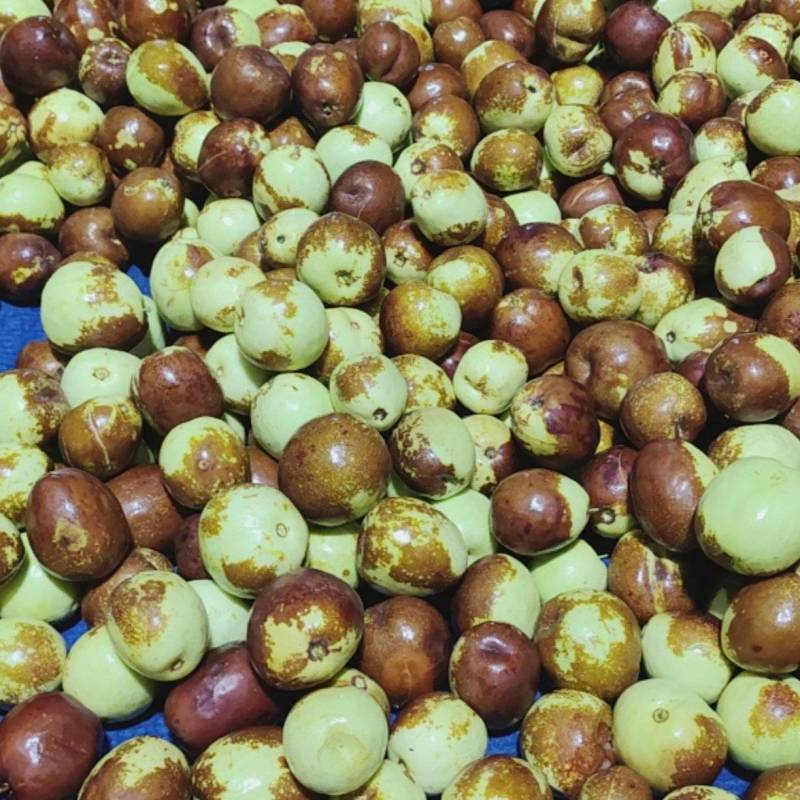 梨枣