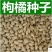 新采枸橘种子枳壳种子香橙红橘种子香橼嫁接砧木树种籽