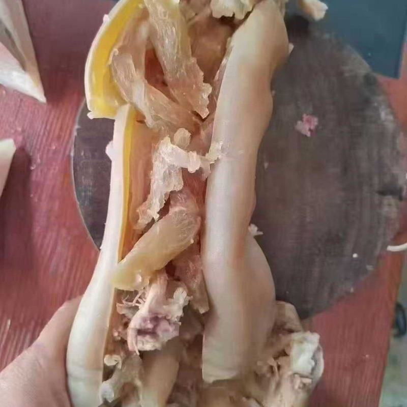 熟牛蹄带筋去骨1件50斤干净均匀烧凉拌常年批发