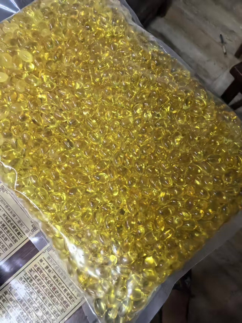 灵芝孢子油