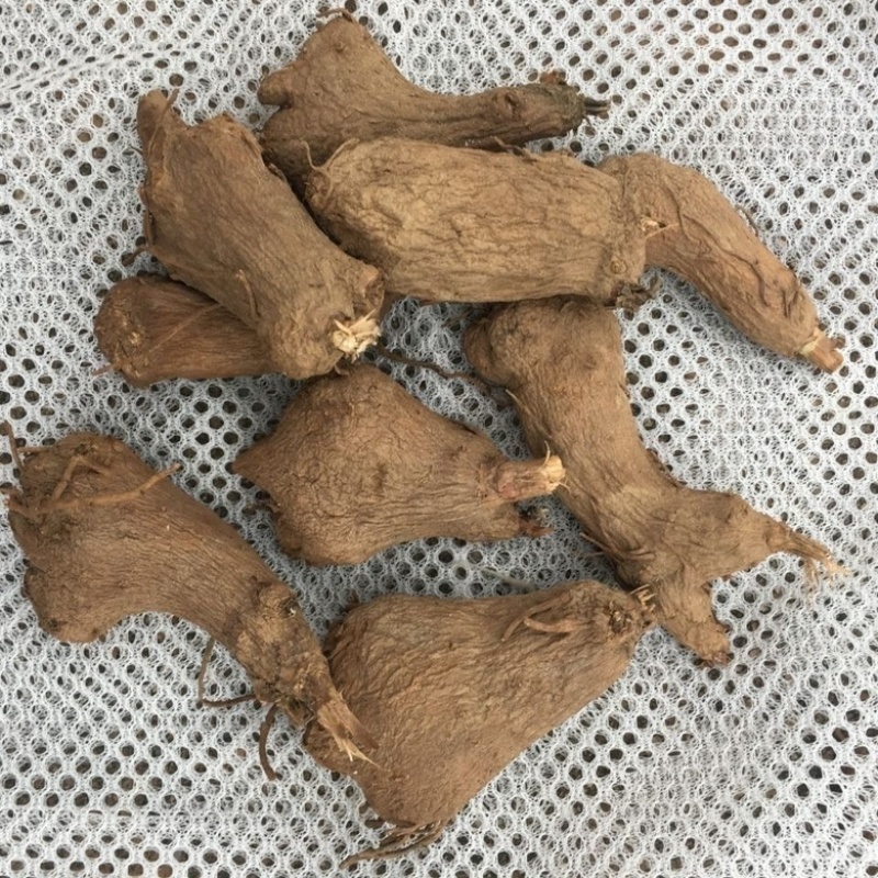 无硫白术白术片，保质保量，精选一年两年新货，量大从优！