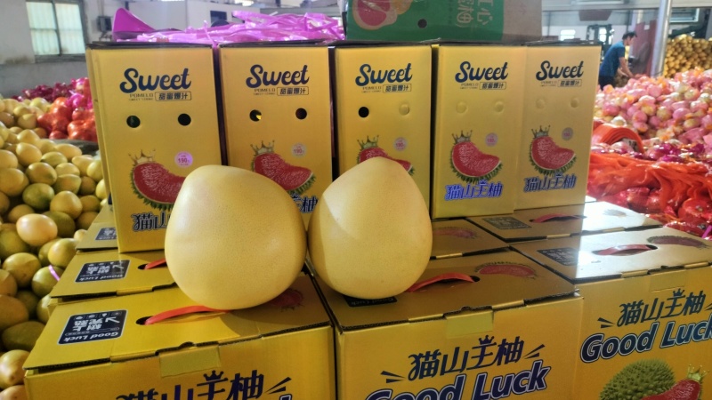 平和琯溪蜜柚与葡萄柚搭配