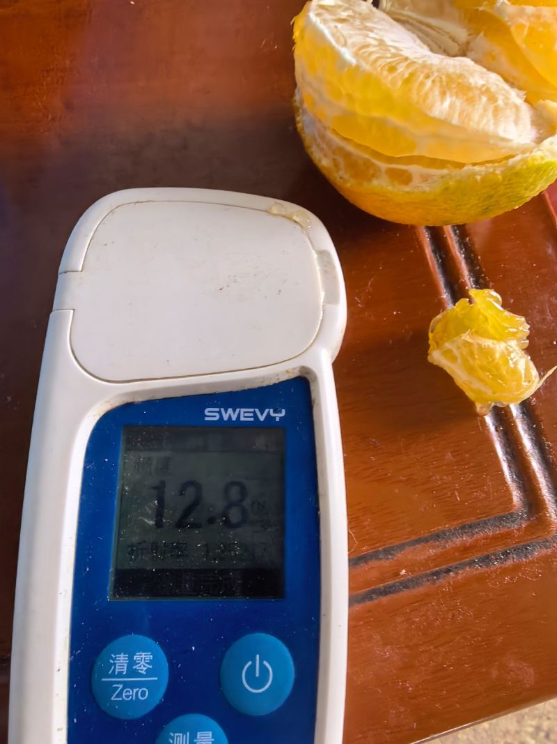 待嫁光果爱媛38，欢迎市场老板前来买货！提供优质服务！