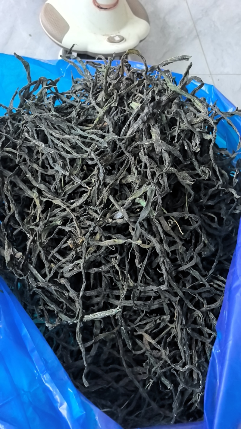 架豆王