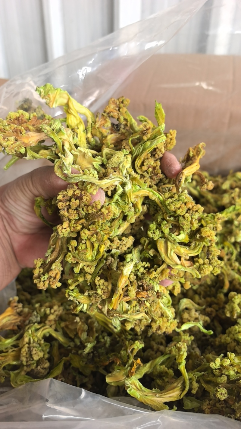 脱水花菜干