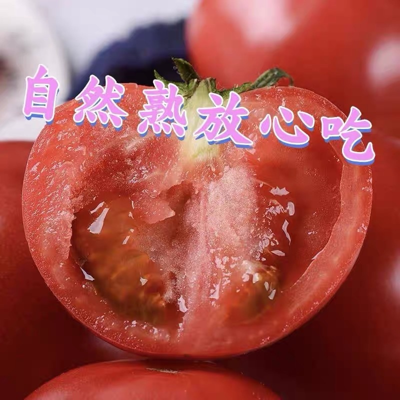普罗旺斯吉诺比利西红柿硬粉西红柿大红西红柿