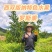 罗斯果