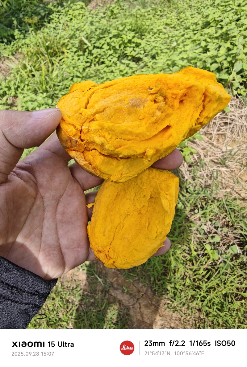 罗斯果