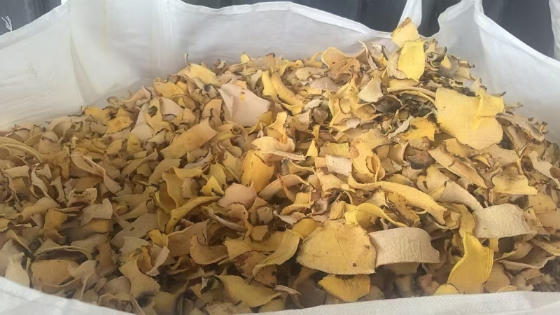 泰国/缅甸珠芽魔芋，魔芋干