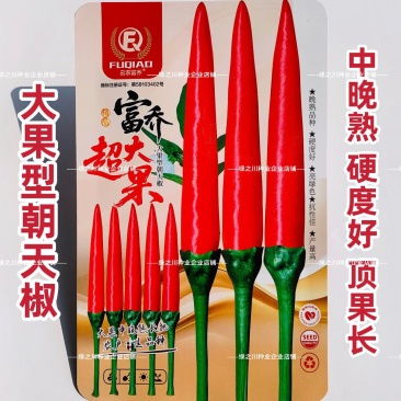 富乔超大果朝天椒种子大号小米辣种子南方热销海椒指天椒