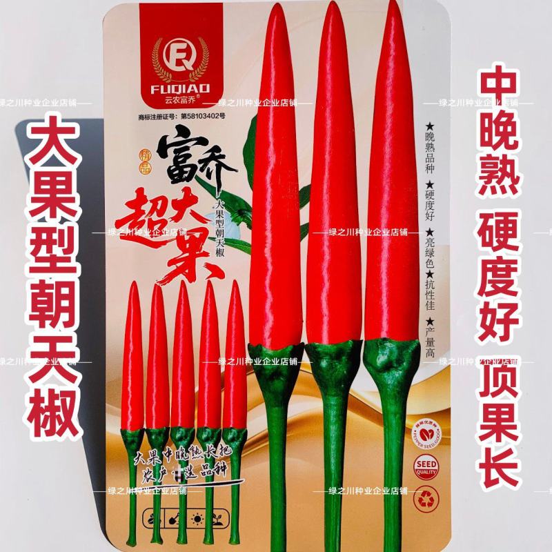 富乔超大果朝天椒种子大号小米辣种子南方热销海椒指天椒