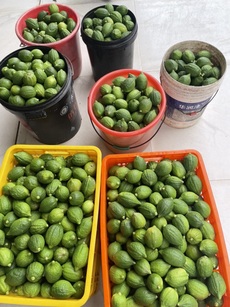 广西香水柠檬