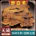麸炒白术精选大片白术古法手工麦麸炒白术片