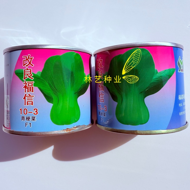 改良信福10-3青梗菜青菜种子株型矮耐寒耐抽苔秋冬上海青