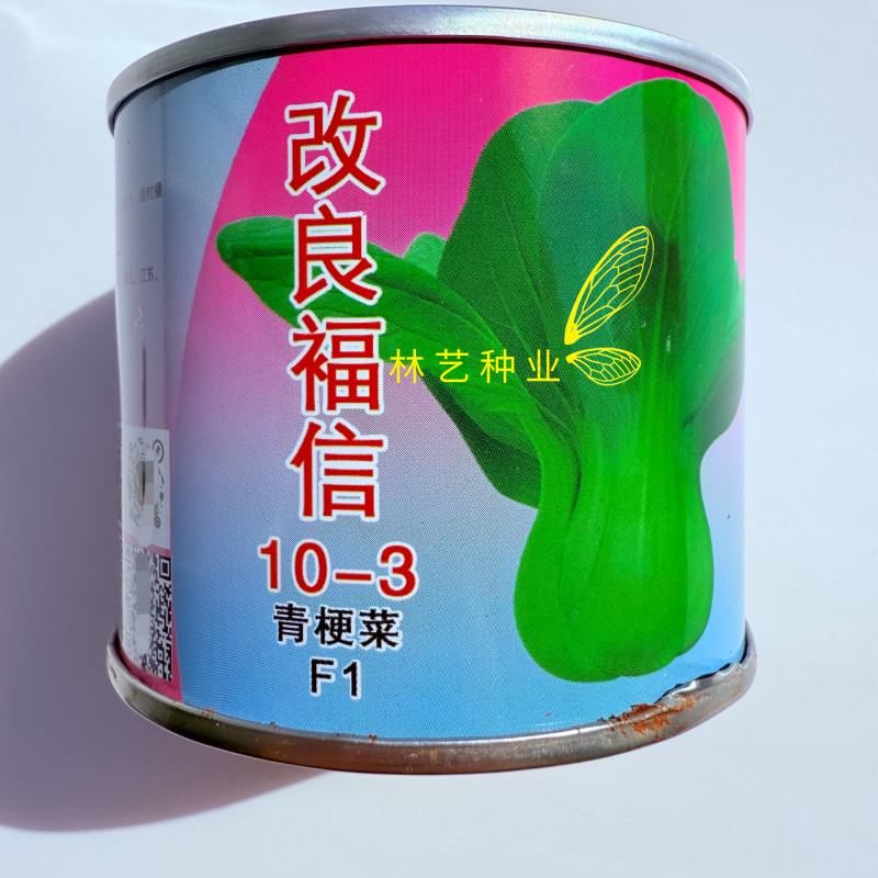 改良信福10-3青梗菜青菜种子株型矮耐寒耐抽苔秋冬上海青