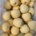 黄金维纳斯苹果，数量有限精品精品精品