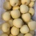 黄金维纳斯苹果，数量有限精品精品精品
