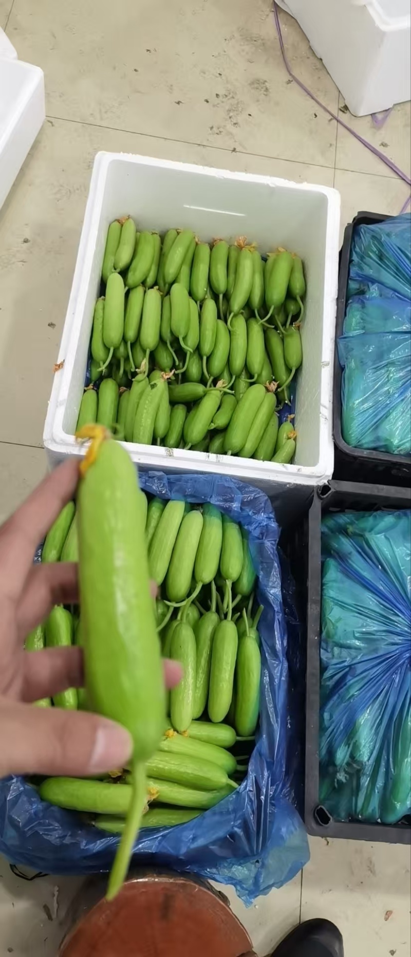 奶油黄瓜