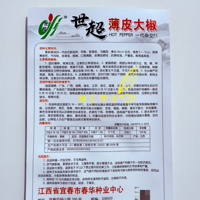 世超薄皮大椒种籽高产耐热春秋播耐低温大果薄皮大椒
