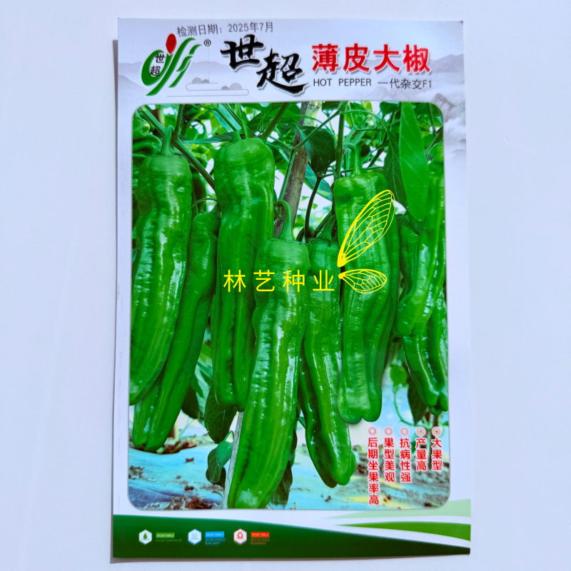 世超薄皮大椒种籽高产耐热春秋播耐低温大果薄皮大椒