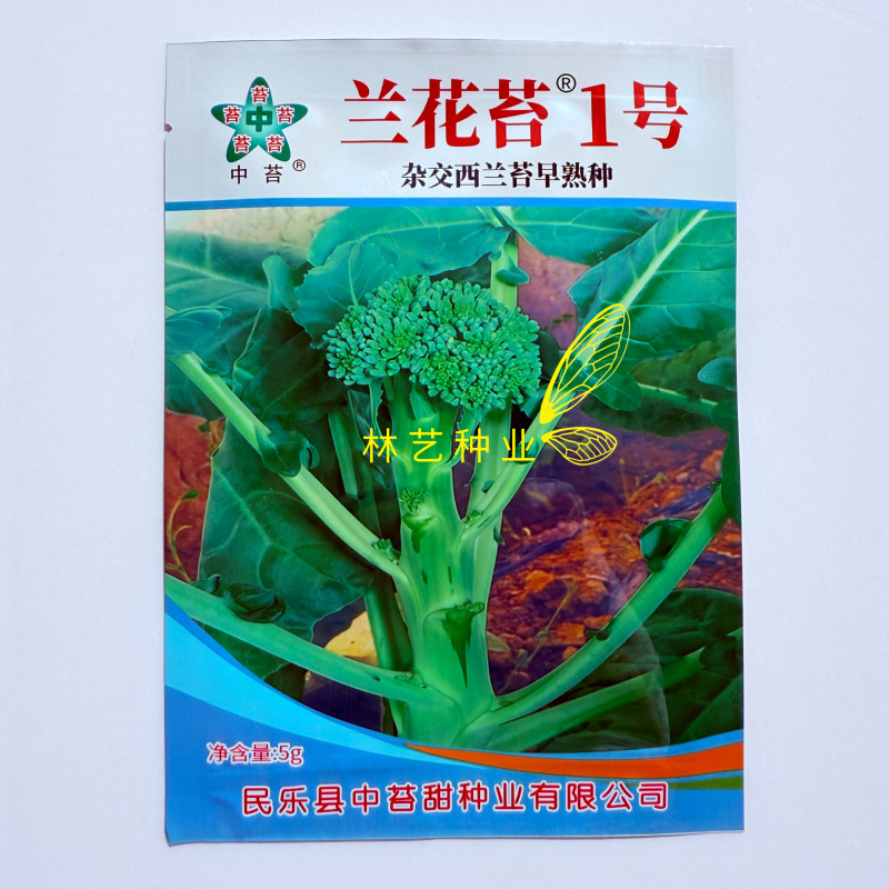 兰花苔1号原装正宗一代杂交早熟西兰苔种子优质抗病耐热耐寒