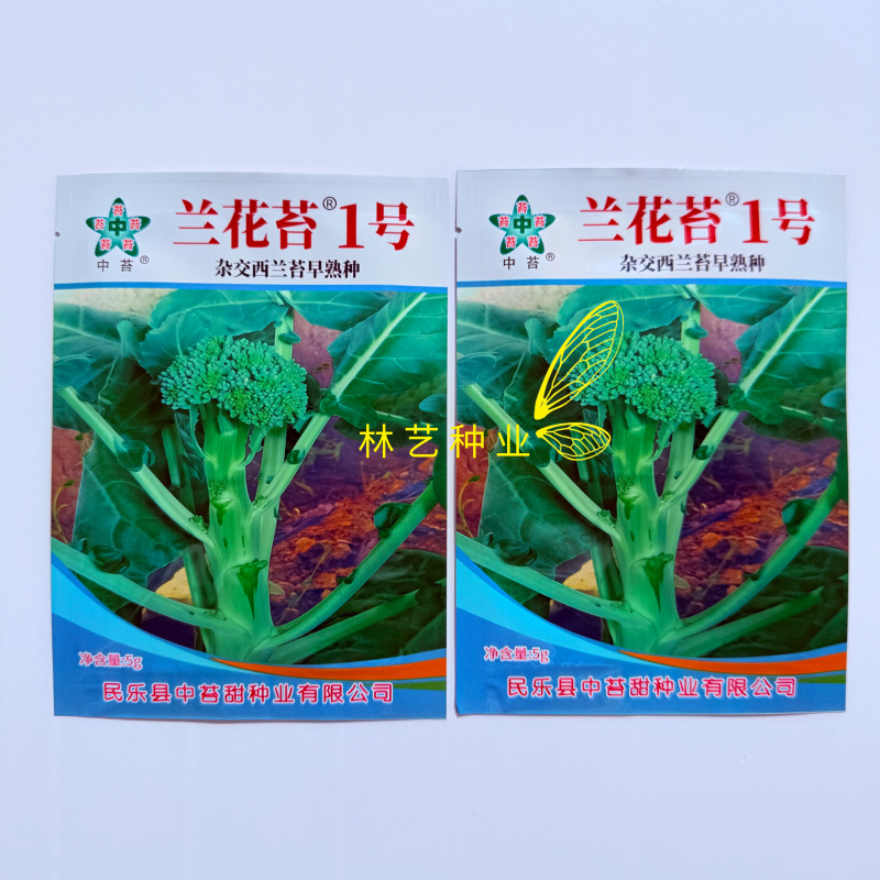 兰花苔1号原装正宗一代杂交早熟西兰苔种子优质抗病耐热耐寒