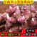 云南天山雪莲果种子农家黄泥沙高产红心种球新鲜黄心种植苗种