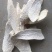 山药片山药薄片淮山药干怀山药淮山干片正宗广西金