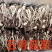 江西省抚州市广昌县茶树菇产地直销精品五号菇剪根