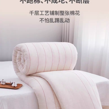 自产自销纯棉花被，各种规格可定制