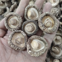 【可发样品】香菇干货花菇金钱菇食用菌冬菇通货大片都有