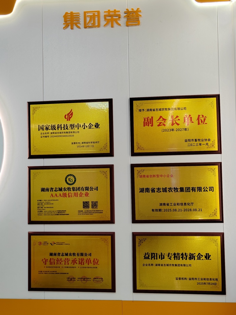 精品鲜鸡蛋