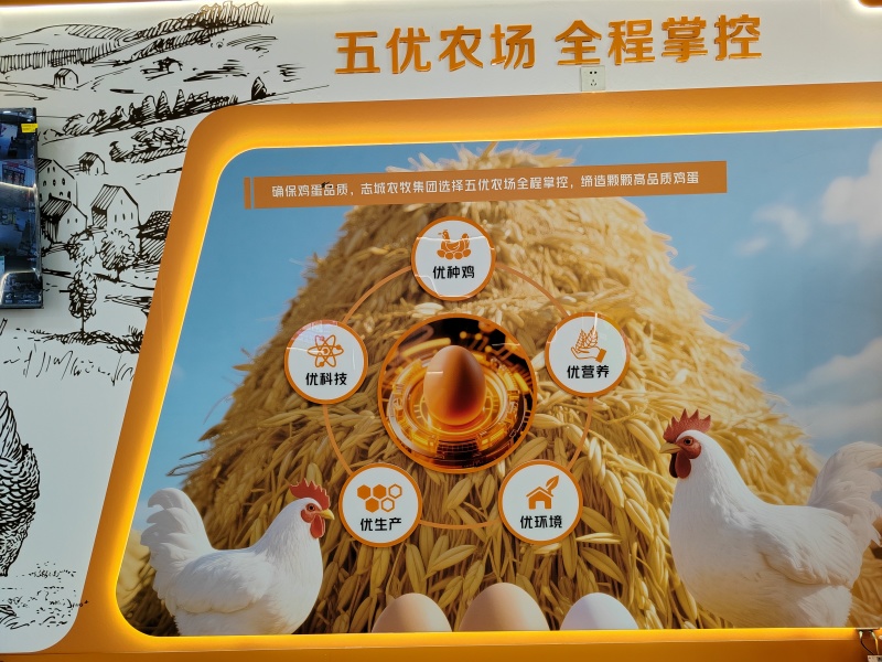 精品鲜鸡蛋
