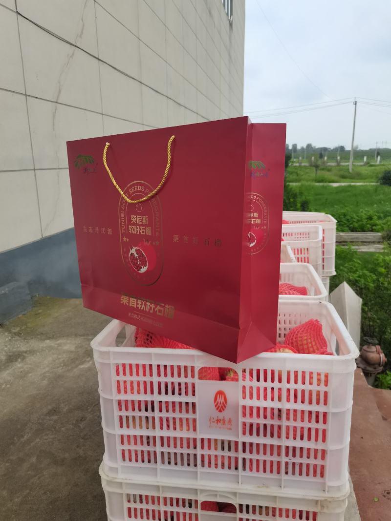 【实力供货】河南突尼斯软籽石榴清甜可口整车走货量大从优